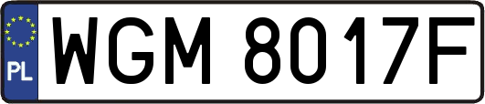WGM8017F