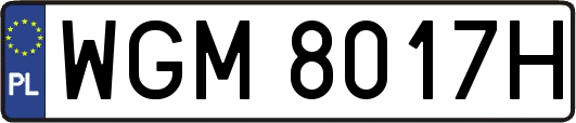 WGM8017H