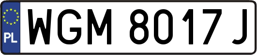 WGM8017J