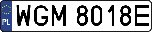 WGM8018E