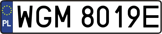 WGM8019E