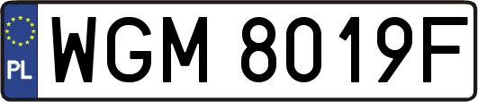 WGM8019F