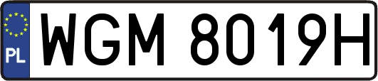 WGM8019H