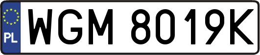 WGM8019K