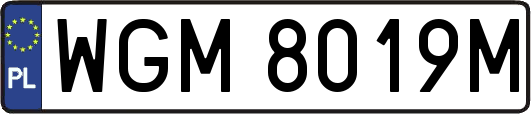 WGM8019M