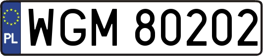 WGM80202