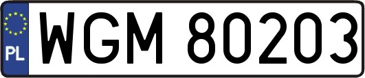 WGM80203