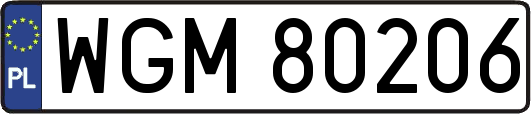 WGM80206