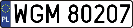 WGM80207