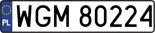 WGM80224