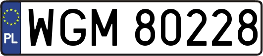 WGM80228
