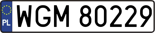 WGM80229