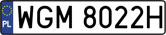 WGM8022H