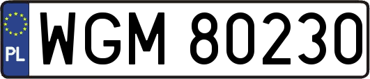 WGM80230