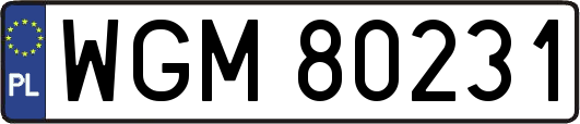 WGM80231