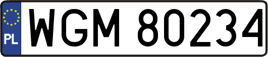 WGM80234