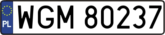 WGM80237
