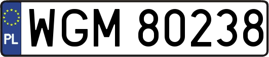 WGM80238