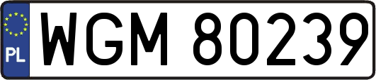 WGM80239