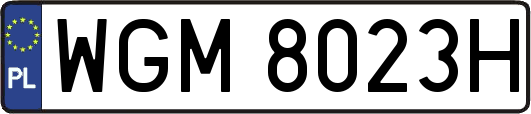 WGM8023H