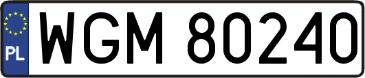 WGM80240