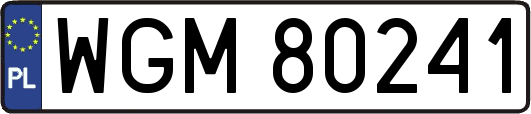 WGM80241