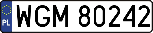 WGM80242