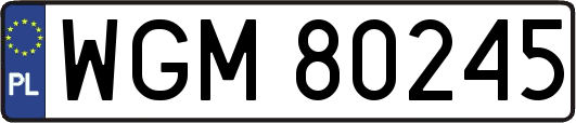 WGM80245