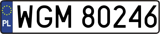 WGM80246
