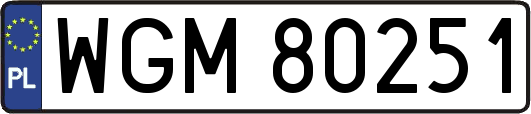 WGM80251