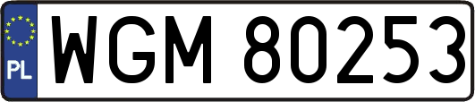 WGM80253