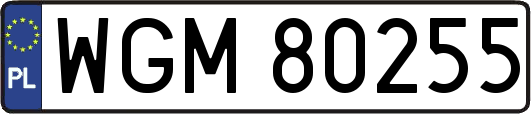 WGM80255