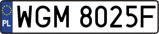 WGM8025F