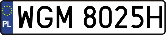 WGM8025H