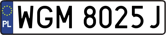 WGM8025J