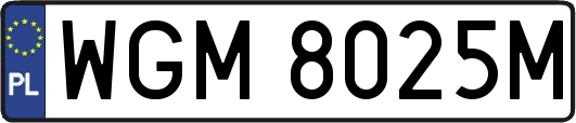 WGM8025M