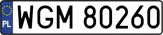 WGM80260