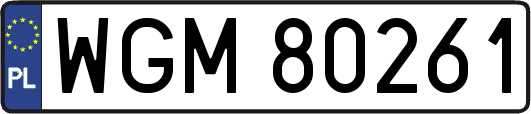 WGM80261