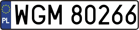 WGM80266