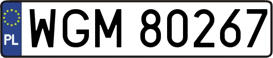 WGM80267