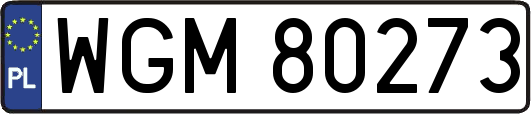 WGM80273