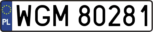 WGM80281