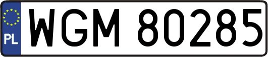 WGM80285