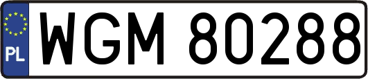 WGM80288