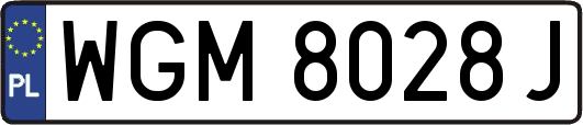 WGM8028J