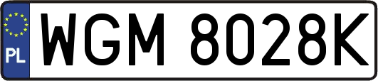 WGM8028K