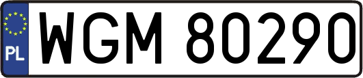 WGM80290