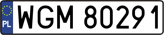WGM80291