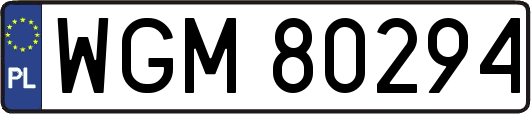 WGM80294