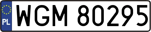 WGM80295